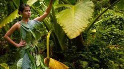 ಬಾಳೆಲೆ, ಗೋಣಿಚೀಲಾನೇ ಉಡುಪು ! ಫ್ಯಾಷನ್ ಜಗತ್ತಲ್ಲಿ ಕಣ್ಮನ ಸೆಳೆಯುತ್ತಿದೆ ಡಿಫರೆಂಟ್ ದಿರಿಸು