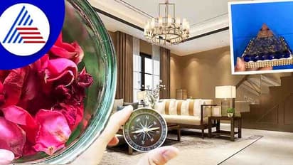 ಕೈಗೆ ದುಡ್ಡು ಸೇರಬೇಕೆಂದರೆ ಮುಖ್ಯ ದ್ವಾರ ಹೇಗಿರಬೇಕು?