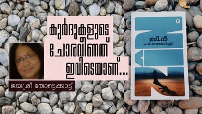 'സിന്' ഒരു സാധാരണ നോവലല്ല, നമ്മുടെ അലസനേരങ്ങളെ വിഴുങ്ങുന്ന ഒരു തീനാമ്പ് അതിലുണ്ട്