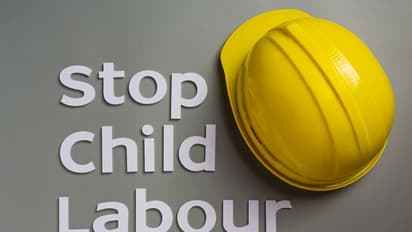 World Day Against Child Labour 2022: History, Significance, Theme, all you need to know about the day