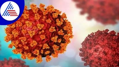 ಕೋವಿಡ್-19, ಸೋಂಕಿನ ಪ್ರಮಾಣ ಹೆಚ್ಚಳ; ಹೊಸ ರೂಪಾಂತರ ಪತ್ತೆಯಾಗಿಲ್ಲ ಎಂದ ತಜ್ಞರ ತಂಡ