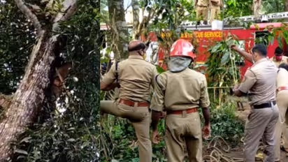 വീണ്ടും വില്ലനായി ഇരുമ്പ് തോട്ടി! വെൽഡിങ് കടയുടമ മാങ്ങ പറിക്കുന്നതിനിടെ ഷോക്കടിച്ച് മരിച്ചു