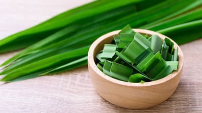 Pandan leaves: పోషకాల గని పాండన్ ఆకులు.. దీనితో అందం, ఆరోగ్యం మీ సొంతం! 