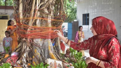 प्रभु सातों जन्म में भी ऐसी पत्नी ना मिले...पीपल देवता की 108 बार उल्टी परिक्रमा कर पतियों ने मांगी यह दुआ