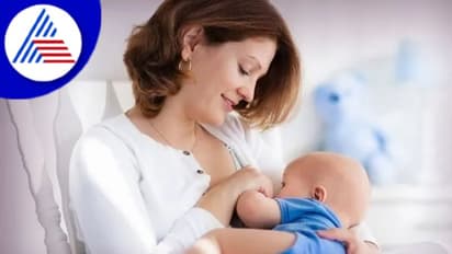 ಮಕ್ಕಳಿಗೆ ಆರು ತಿಂಗಳ ವರೆಗೆ ಹಾಲುಣಿಸಲೇಬೇಕು ಅನ್ನೋದು ಯಾಕೆ ?