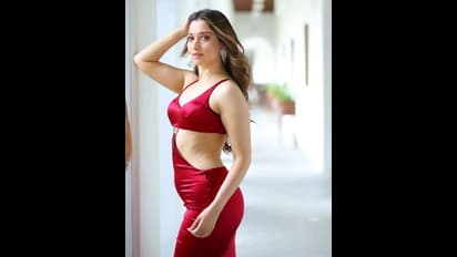 தென்னிந்திய ரசிகர்கள் விசுவாசமானவர்கள்... ஆனால் வட இந்தியர்கள் அப்படி இல்லை - நடிகை தமன்னா சொல்கிறார்