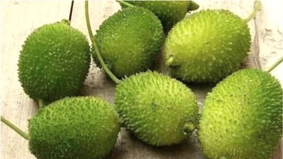 ভিটামিন ও মিনারেলে ভরপুর এই সবজি, জেনে নিন কাঁকরোলের পুষ্টিগুণ