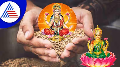 ಬಾರ್ಲಿಯನ್ನು ಹೀಗೆ ಬಳಸಿದರೆ ಮನೆಯಲ್ಲಿ ಧನಧಾನ್ಯಕ್ಕಿರದು ಕೊರತೆ!