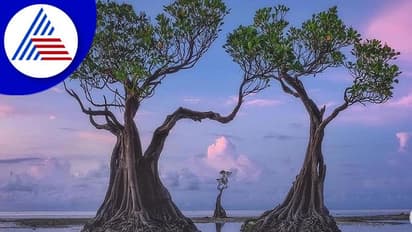 ಇಂಡೋನೇಷ್ಯಾ ಟ್ರಿಪ್ ಹೋಗ್ತಿದ್ದೀರಾ... ಹಾಗಿದ್ರೆ ಇದ್ನ ಮಿಸ್ ಮಾಡ್ಬೇಡಿ