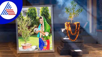 ಒಣ ತುಳಸಿ ಎಲೆಗಳು ನಿಮ್ಮ ಹಣದ ಸಮಸ್ಯೆ ನೀಗಲಿವೆ!