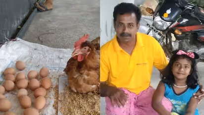 6 ಗಂಟೆಯಲ್ಲಿ 24 ಮೊಟ್ಟೆ ಇಟ್ಟ ಕೇರಳದ ಕೋಳಿ
