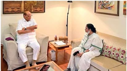 ఢిల్లీలో శరద్ పవార్తో బెంగాల్ సీఎం మమతా బెనర్జీ భేటీ