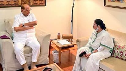 Presidential Election 2022: Ahead of opposition meet, West Bengal CM Mamata Banerjee meets Sharad Pawar