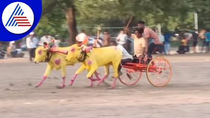 ಕಾರಹುಣ್ಣಿಮೆ ಸಂಭ್ರಮ: ಹಿಂದೂ-ಮುಸ್ಲಿಂ ಭಾವೈಕ್ಯತೆಗೆ ಸಾಕ್ಷಿಯಾದ ವಿಜಯಪುರ..!