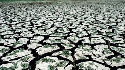 ആശങ്കയായി പെനുവേലസ് ജലസംഭരണി; കാലാവസ്ഥാ വ്യതിയാനം രൂക്ഷമാകുന്നു 