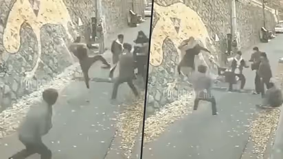 Woman fights six men who were harassing her; watch