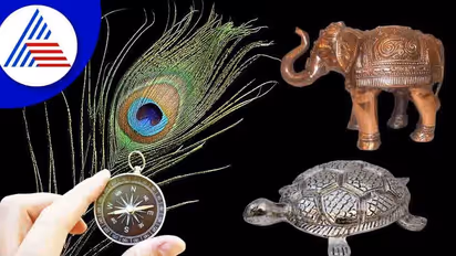 Vastu Tips: ಜೇಬಲ್ಲಿ ಸದಾ ದುಡ್ಡಿರಬೇಕೆಂದರೆ ಈ ವಸ್ತು ಮನೆಯಲ್ಲಿರಲಿ