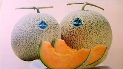 এটাই বিশ্বের সবচেয়ে দামি ফল, দাম জানলে অবাক হবেন