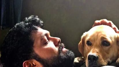 777 Charlie: 7 reasons to watch Rakshit Shetty’s movie NOW