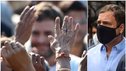 3 ദിനം, 30 മണിക്കൂർ, നൂറോളം ചോദ്യങ്ങൾ, ഇഡി കാട്ടിയ രേഖകൾ നിഷേധിച്ച് രാഹുൽ; ഭാവി എന്താകും? വെള്ളിയാഴ്ച നിർണായകം