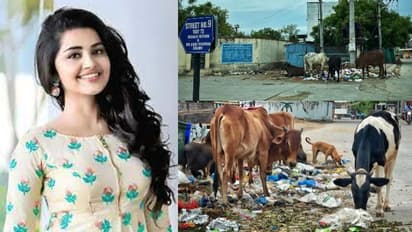 GHMC ని అడ్డంగా ఇరికించేసిన అనుపమా పరమేశ్వరన్, మండిపడుతున్న నెటిజన్లు