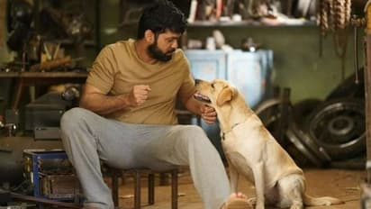 777 Charlie: Hindi remake of Rakshit Shetty film in the pipeline?