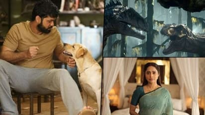 Box office report: Nushrratt Bharuccha’s Janhit Mein Jaari fails to collect Rs 3 crore in six days