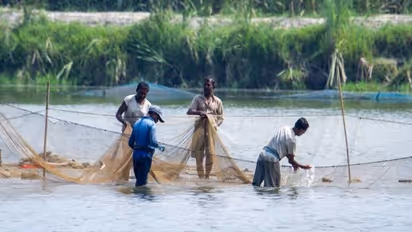 नदी में मछली पकड़ने के लिए फेंका जाल, फंसकर आई ऐसी चीज कि बुलानी पड़ी पुलिस, सामान देखकर वह भी हैरान