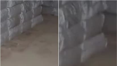 പ്രവാസികളുടെ താമസസ്ഥലത്ത് പരിശോധന; ഇരുപതിനായിരത്തിലേറെ നിരോധിത സിഗരറ്റ് പിടിച്ചെടുത്തു