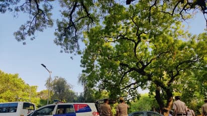 ಅಮೆರಿಕಾ ಹುಡುಗಿ, ನೈಜೀರಿಯಾ ಹುಡುಗ: ಹಣಕ್ಕಾಗಿ ಅಪಹರಣ ನಾಟಕ ಮಾಡಿ ಬಂಧನ