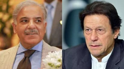 'ലോകത്തിലെ ഏറ്റവും വലിയ നുണയന്': ഇമ്രാന് ഖാനെ കടന്നാക്രമിച്ച് പാക് പ്രധാനമന്ത്രി