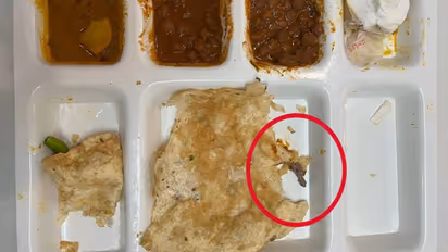 Man finds a ‘semi-conscious’ lizard in chole bhature; watch