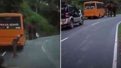 Viral video: பள்ளி குழந்தைகள் வேனை வழிமறித்த யானை.. அடுத்து நடந்த அதிர்ச்சி சம்பவம் - வைரல் வீடியோ