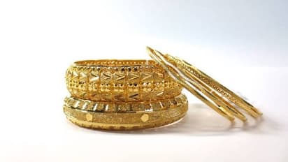 സ്വർണം കാണാനില്ല, കടത്തിയവരെ തിരഞ്ഞെത്തിയത് എലികളുടെ അടുത്ത്