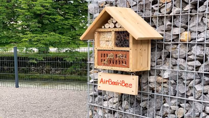 इटली में अजीबो-गरीब होटल, जहां रहती हैं सिर्फ मधुमक्खियां, इंसानों के लिए सिर्फ एक कमरा 