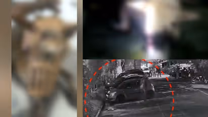 പട്ടത്ത് കെഎസ്ഇബി ജീവനക്കാരൻ തെരുവുനായയുടെ കണ്ണടിച്ച് പൊട്ടിച്ചു; പൊലീസ് കേസെടുത്തു