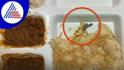 ವೈದ್ಯರಿಗೆ ಆಹಾರದಲ್ಲಿ ಸಿಕ್ತು ಹಲ್ಲಿ: ಫೇಮಸ್‌ ಮಾಲ್‌ನ ರೆಸ್ಟೋರೆಂಟ್‌ನಲ್ಲಿ ಘಟನೆ