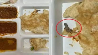 रेस्त्रां में शख्स ने खाने को छोला-भटूरा मंगाया, वेटर ऑर्डर लेकर आया, मगर छोले में जो दिखा उससे मच गया हंगामा