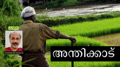 Malayalam Poem : അന്തിക്കാട്,  സ്മിത്ത് അന്തിക്കാട് എഴുതിയ കവിത
