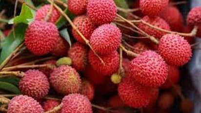 Lychee