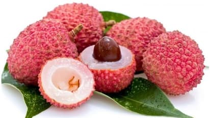  ఈ గింజలతో గుండె జబ్బులు, క్యాన్సర్, డయాబెటీ వంటి రోగాలన్నీ మాయం..!