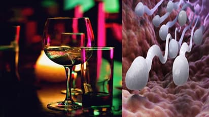 नशे के ये 4 दुष्प्रभाव आपके फर्टिलिटी को पहुंचा सकते हैं नुकसान, तुरंत छोड़े नहीं तो संतान सुख से होंगे जाएंगे