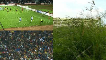 മുട്ടോളം പുല്ല്, ഇഴജന്തുക്കളുടെ താവളം: പയ്യനാട് സ്റ്റേഡിയത്തിൽ ഉറപ്പുകൾ പാഴ്‌വാക്കായി