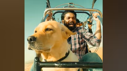 777 Charlie: It's RaksHIT Shetty; actor's movie smiles at box office in second week