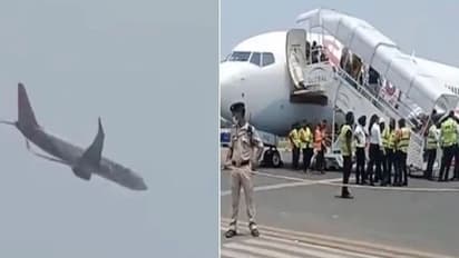 22 मिनट तक अटकी रही 185 लोगों की जान, एक पंक्षी के कारण हो सकता था बड़ा हादसा 