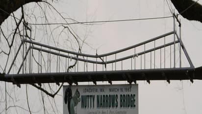 ऐसा देश जहां गिलहरियों के आने-जाने के लिए बनाया गया है ब्रिज..पढ़िए ऐसे ही दिलचस्प सवालों का जवाब