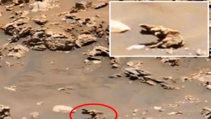 मंगल पर दिखा अजीबो-गरीब जानवर, नासा ने शेयर की फोटो