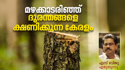 Climate Change : പരിസ്ഥിതിനാശവും കാലാവസ്ഥാ വ്യതിയാനവും കളിയല്ല, നമ്മള്‍ ദുരന്തങ്ങളുടെ മുനമ്പിലാണ്! 