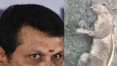 அமைச்சர் செந்தில் பாலாஜி சொன்னப்போ சிரிச்சாங்கலே.. இதோ பார் அணில்.. வெளியானது ஆதாரம். 