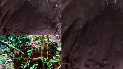 ജാനകി കാട്ടിലെ ക്ഷേത്ര കിണറിൽ മണ്ണ് നീക്കിയത് നിധി തേടി? ദുരൂഹത, അന്വേഷണം ആവശ്യം